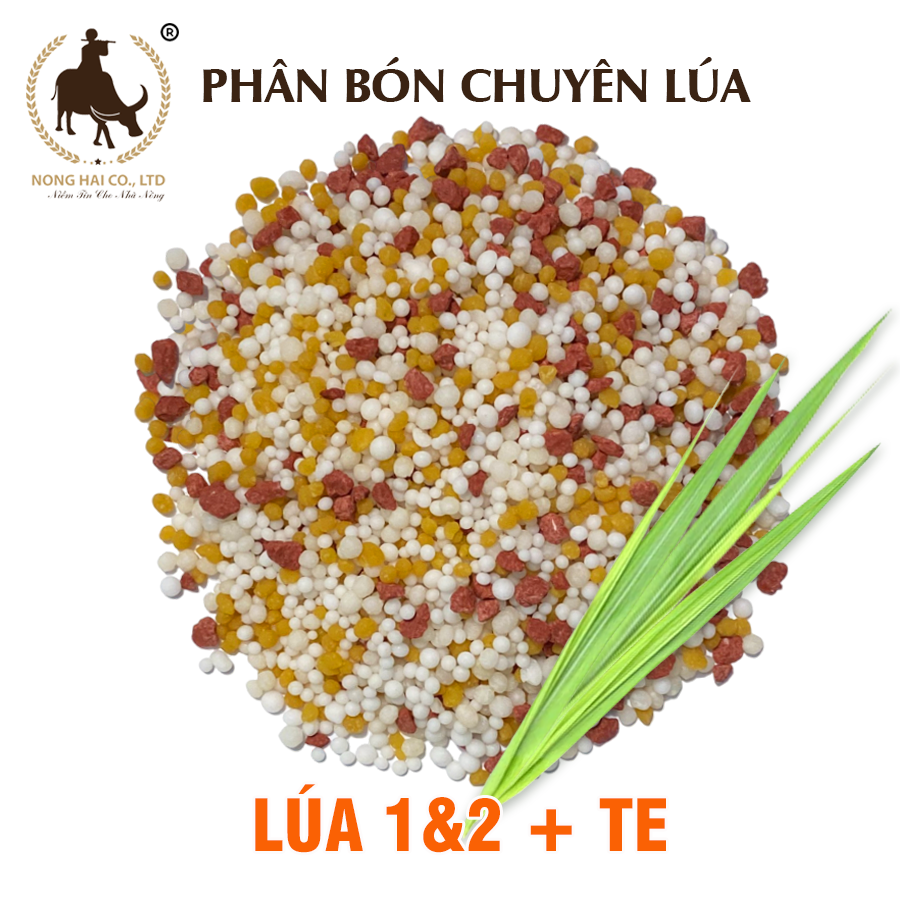 LÚA 1 & 2 + TE