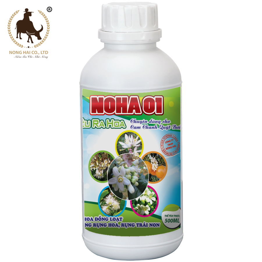 NOHA 01
